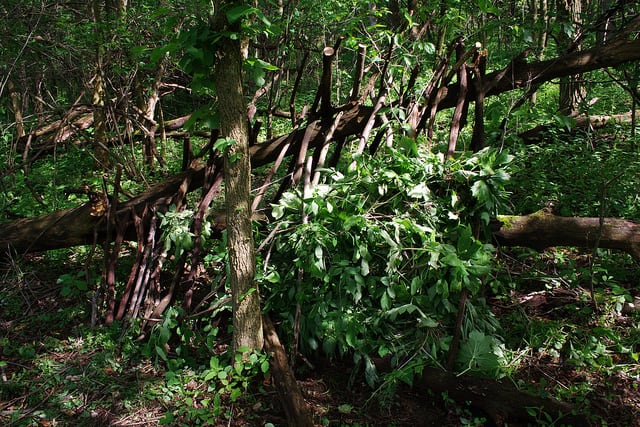 debris shelter design