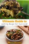 Ultimate Guide to eating bugs for survival