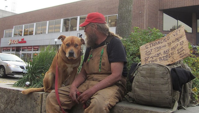 homeless vet with dog