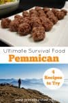How to make Pemmican