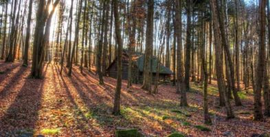 6 Reasons Why I’m NOT Buying a Survival Property