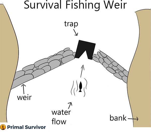 survival fishing weir instructions