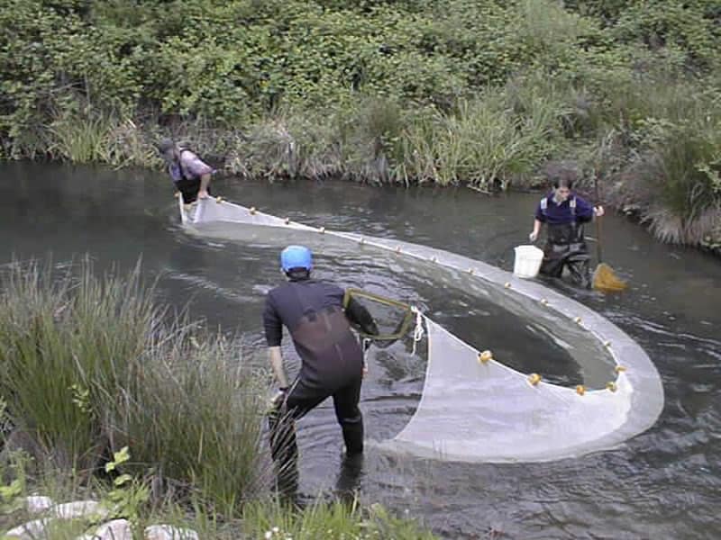 seine fishing trap