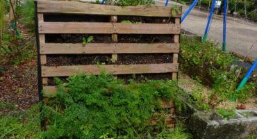 How to Build a Pallet Garden that Will Feed Your Family for Months
