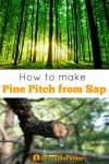 How to make pine pitch from sap