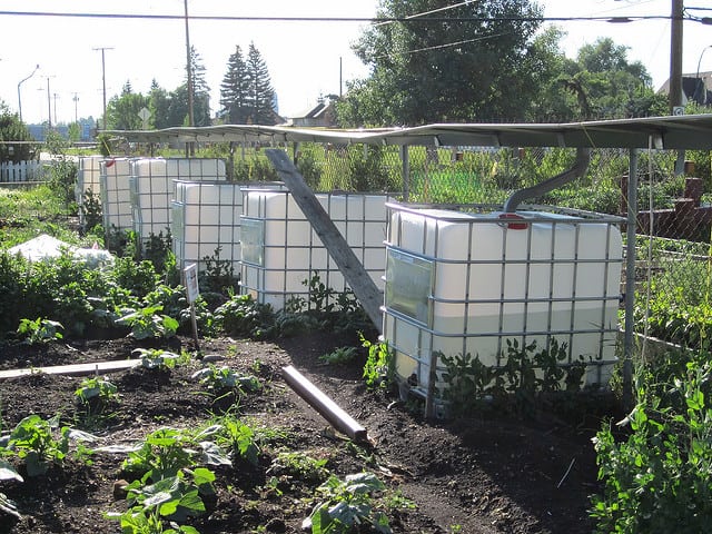 rainwater Irrigation System