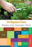 How to Plant a Medicinal Garden