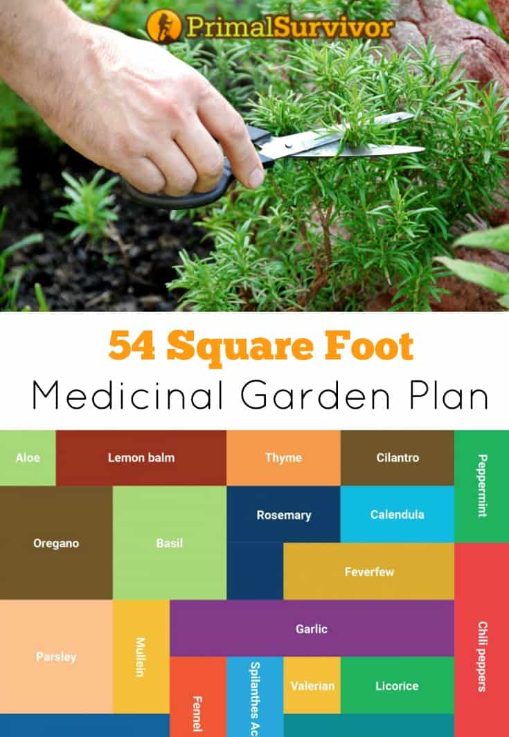 Square Foot Herb Garden Layout - the hobby