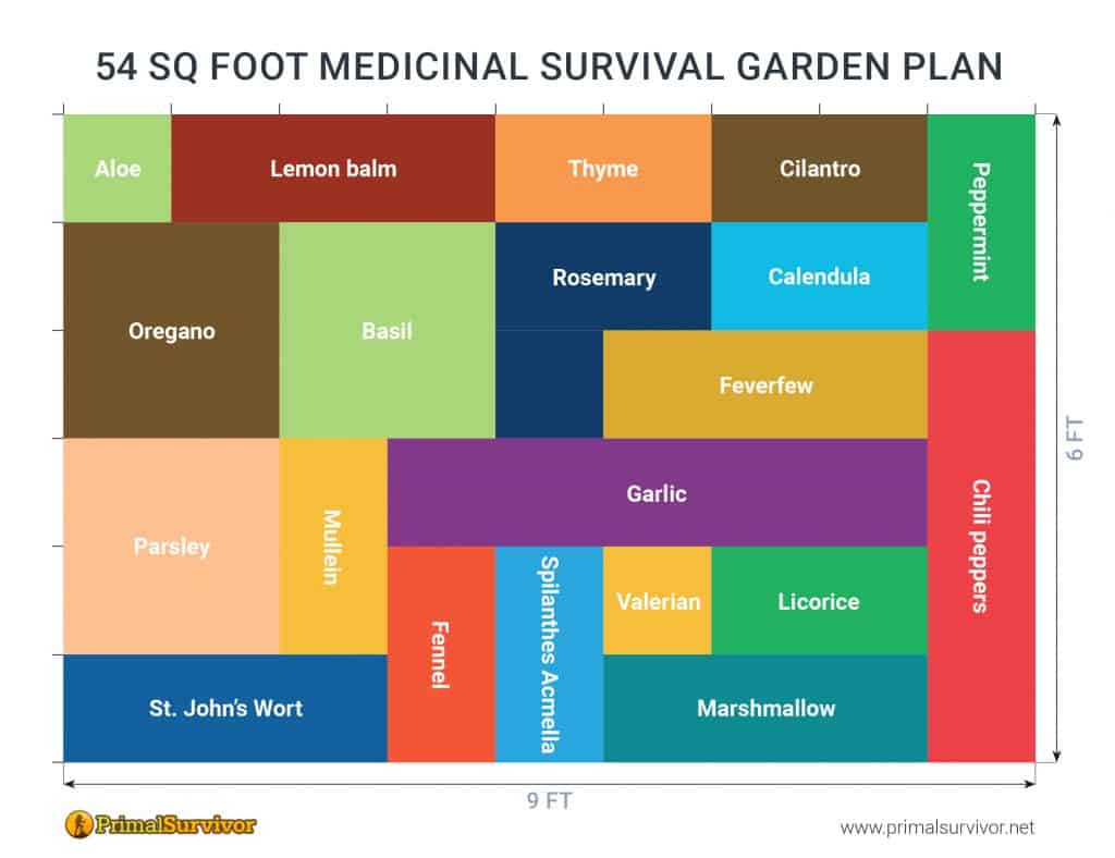 54 square foot survival garden plan