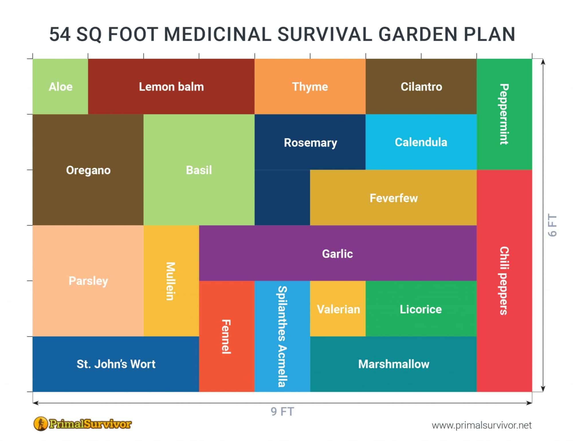 54 Square Foot Medicinal Garden Plan