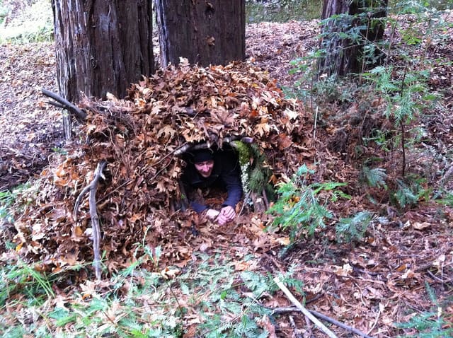 Brush survival shelter