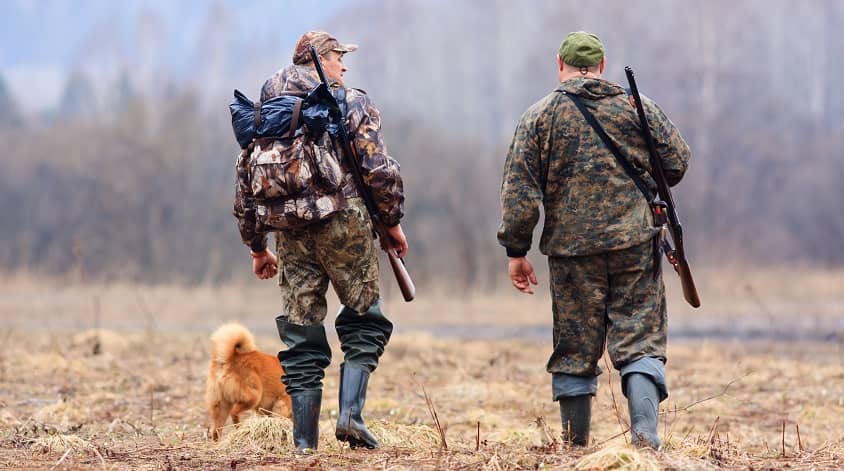 hunting with dog