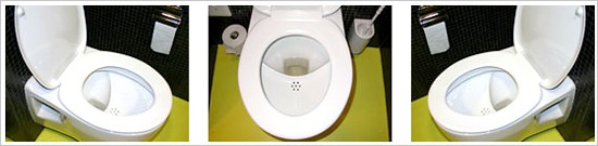 The Nomix urinen diverting toilet seat