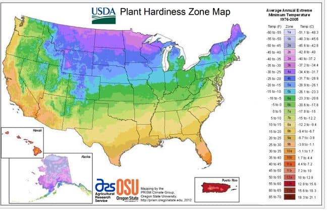 plant hardiness zone map