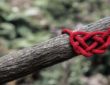 The 7 Most Useful Survival and Bushcraft Knots You Need to Know