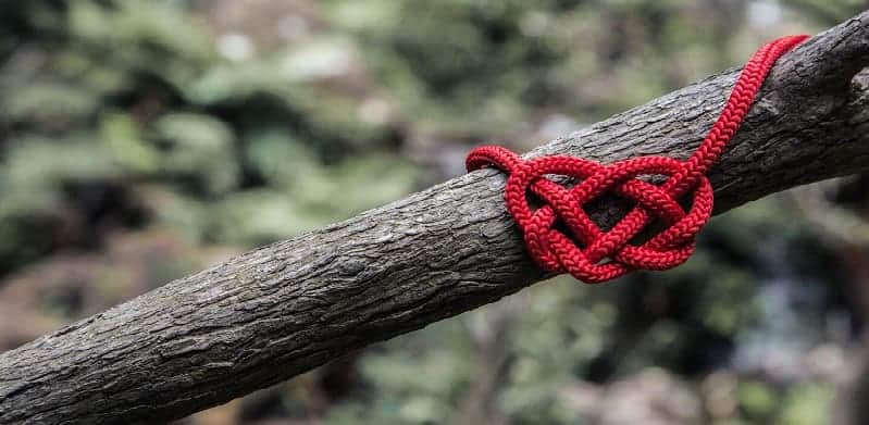 survival knot