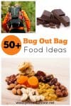50 Bug Out Bag Food Ideas