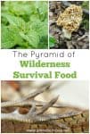 Pyramid of Wilderness Survival Food