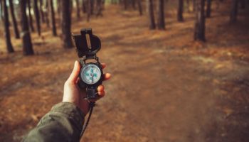 3 Ways to Navigate in the Wilderness without a Compass