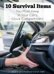 10 Survival Items You Must Keep in Your Car's Glove Compartment