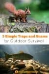 5 Simple Traps and Snares for Outdoor Survival