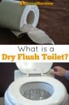What is a Dry Flush Toilet