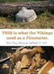 Viking used a gross firestarter: Here is how to make it