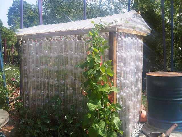 plastic bottle greenhouse
