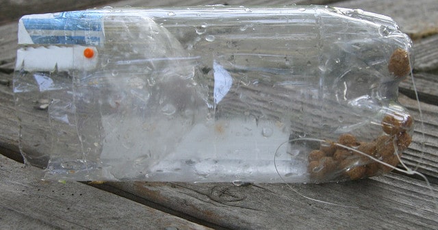 plastic bottle fish trap