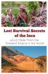 Lost Survival Secrets of the Inca which Made Them the Greatest Empire in the World