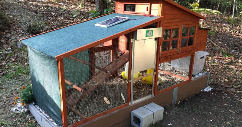 chicken coop