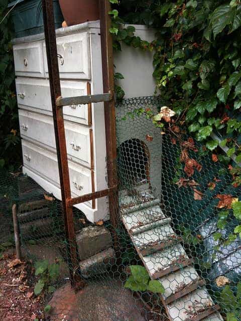 cute dresser drawer backyard chicken coop