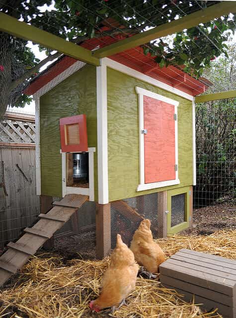 enclosed raised backyard chicken coop idea