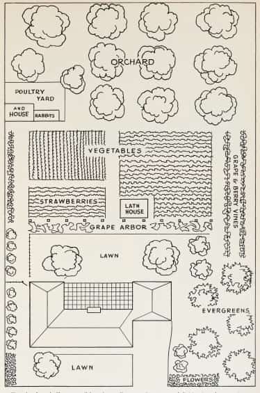 half acre homestead design