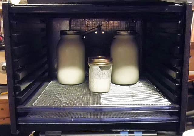 hacer yogur en un deshidratador de alimentos