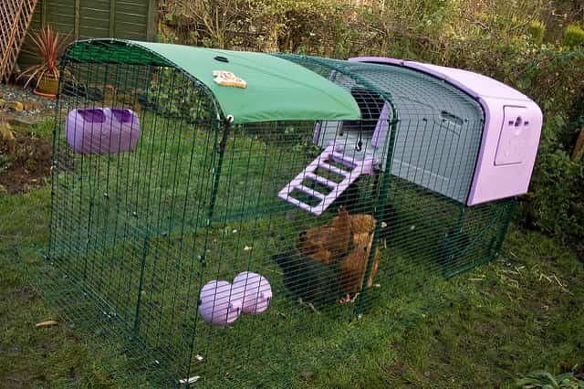 Ergu ready made chicken coop by Omlet