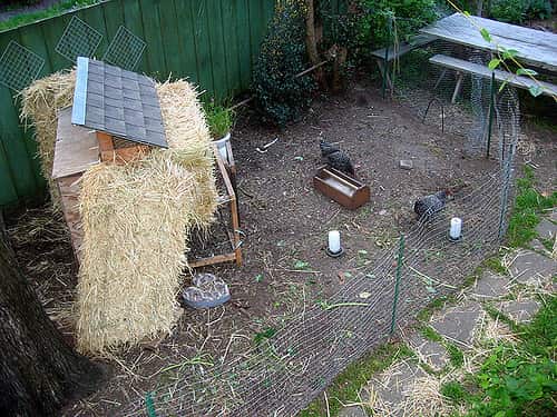 soundproofed chicken coop with hay bales