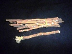 miswak twig toothbrush alternative