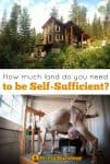How much land do you need to be self sufficient