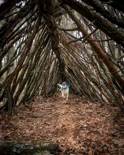 A frame shelter