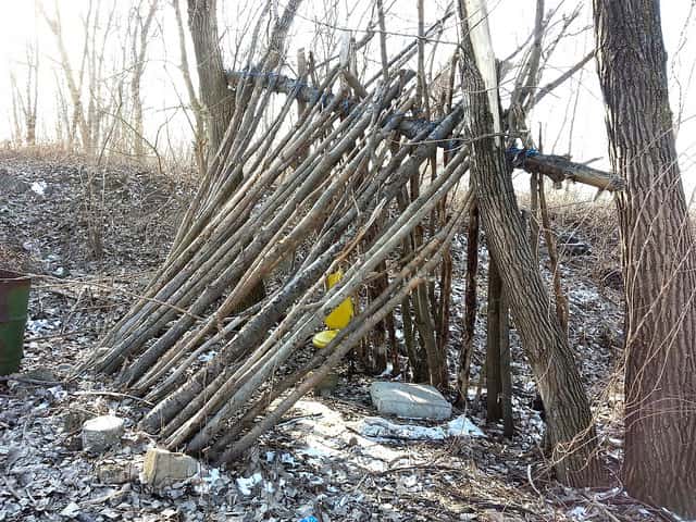 Here's an example of the shelter frame, though rope was used to make this survival shelter