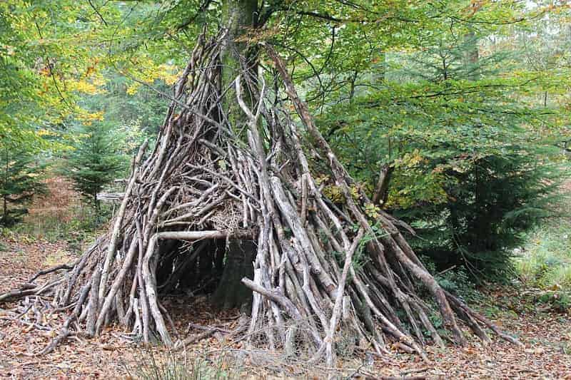 Modified Tipi Shelter