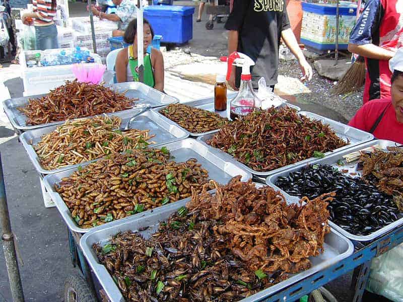 Insects for sale in Thailand