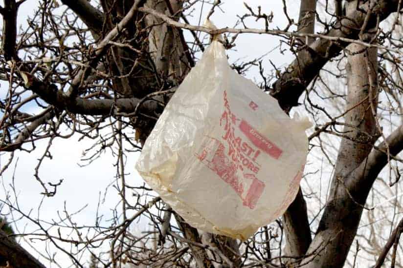 plastic bags for survival
