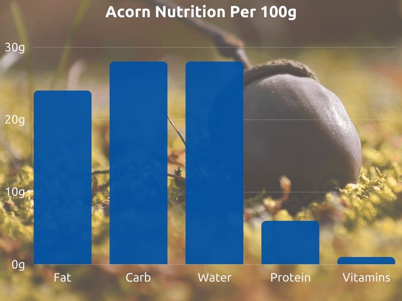 Acorn nutrition graph