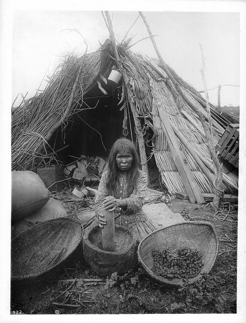 Paiute native americans eating acorns