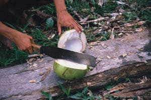 machete opening coconut