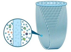 hollow fiber membrane filter