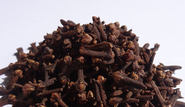 cloves for treating pain