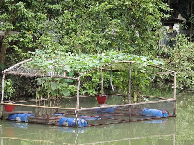 deep water floating aquaponic system